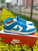 NIKE DUNK LOW AZUL na internet